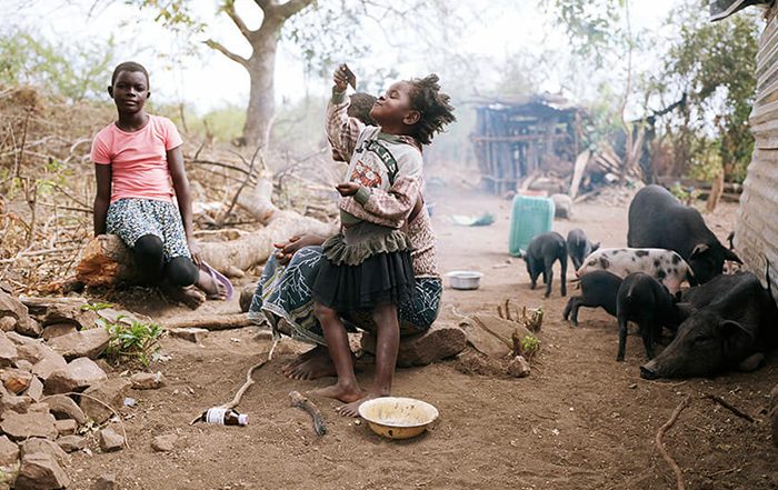 Children and pigs outside a shelter in Malawi
