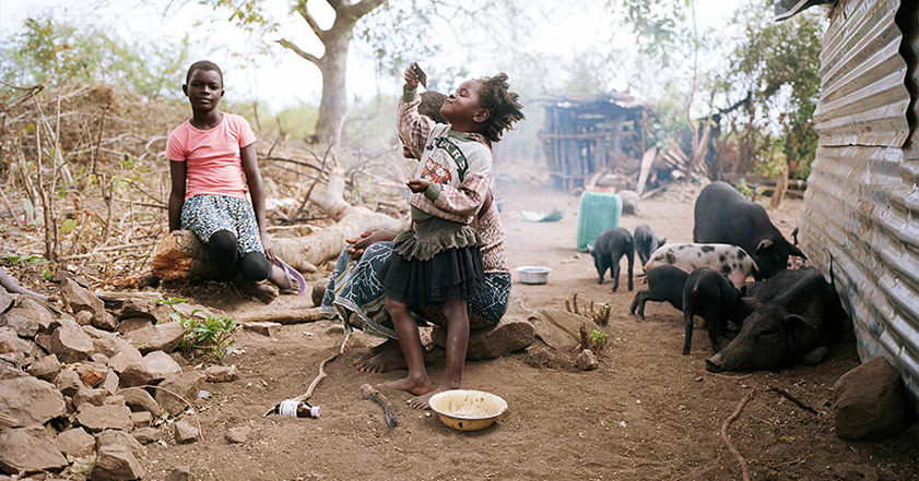 Children and pigs outside a shelter in Malawi