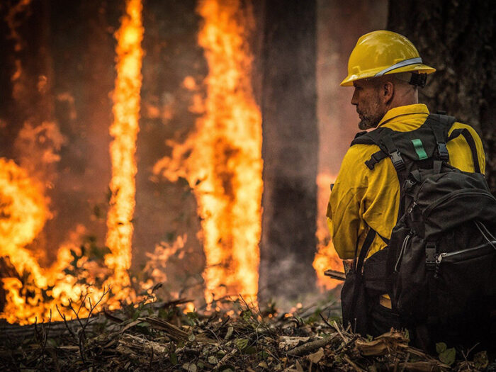 A firefighter in a forest fire