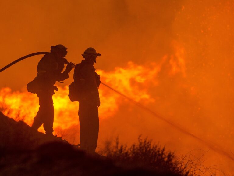 Two firefighters trying to contain a wildfire