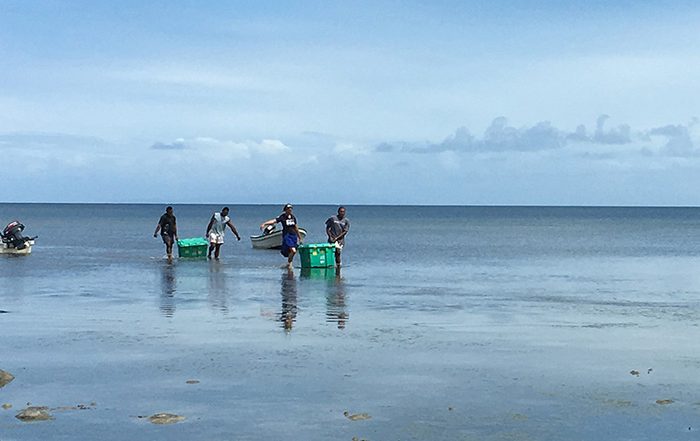 Aid been unloading from boats on a beach