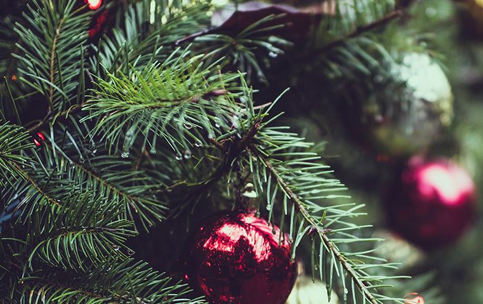 Baubles hanging on a Christmas tree