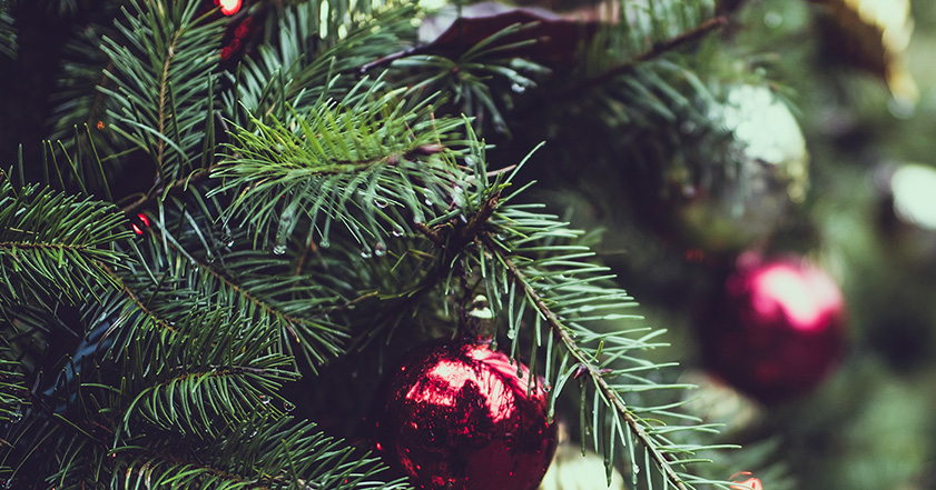 Baubles hanging on a Christmas tree