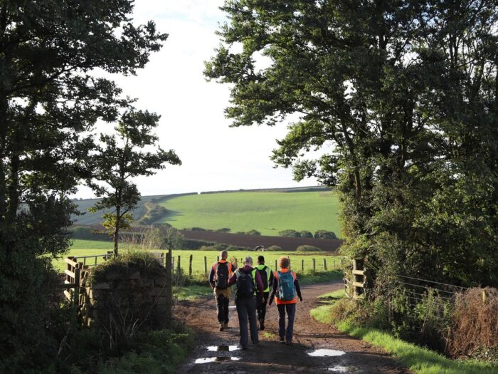 Group of people walking down a path in the countryside