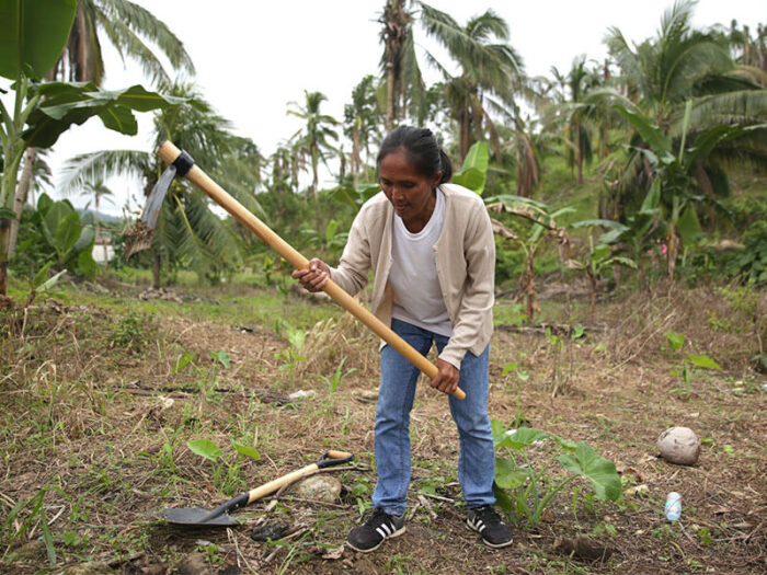 Filippino woman uses hoe to prepare the ground for planting