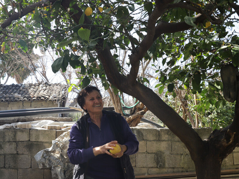 a woman standing under a lemon tree