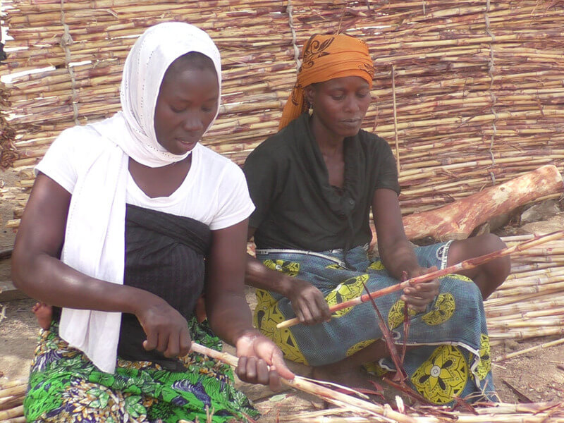 Two women using millet stems to build fencing for the outside area of their home