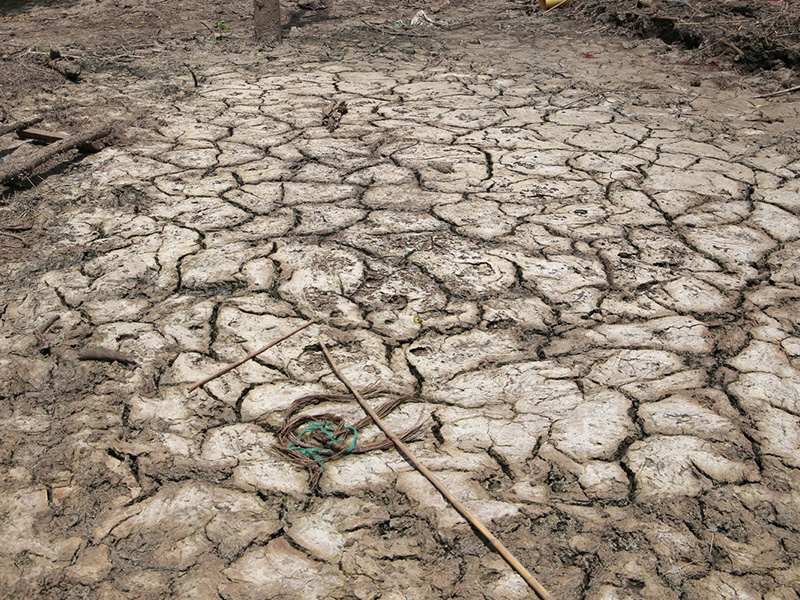 Cracked and dry ground due to drought