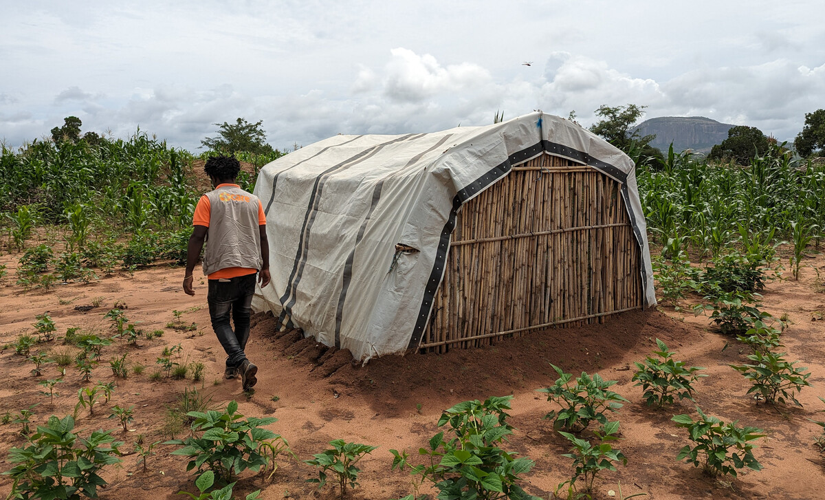 Tarpaulin covering a shelter in Mozambique