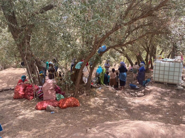 Number of people sitting under trees in the Atlas mountains, Morocco following the earthquake there