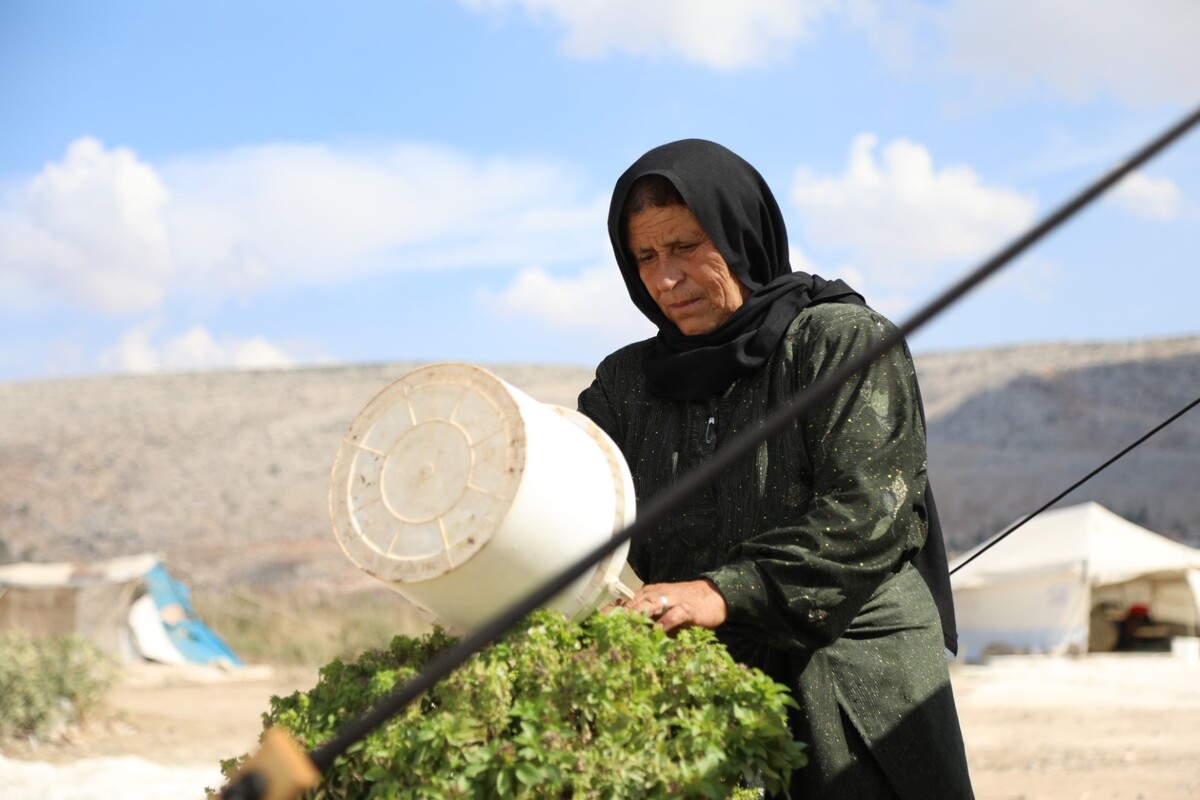 Woman watering a plant next to a tent in Syria