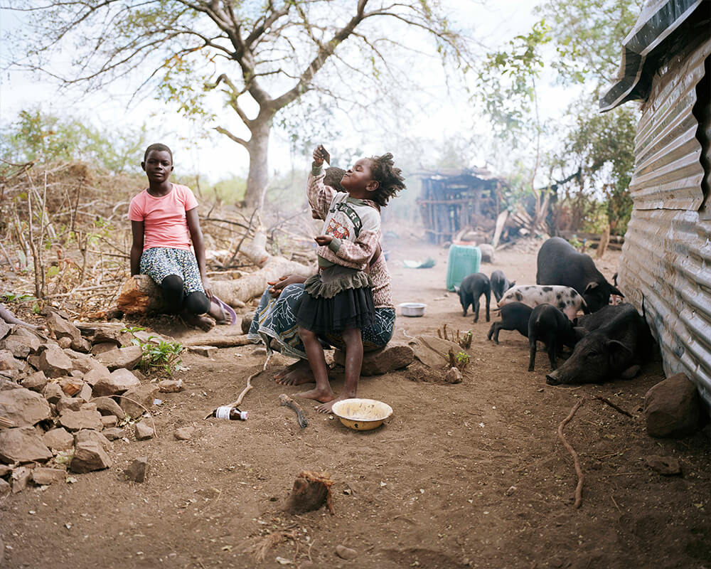 malawi children and pigs next to shelter