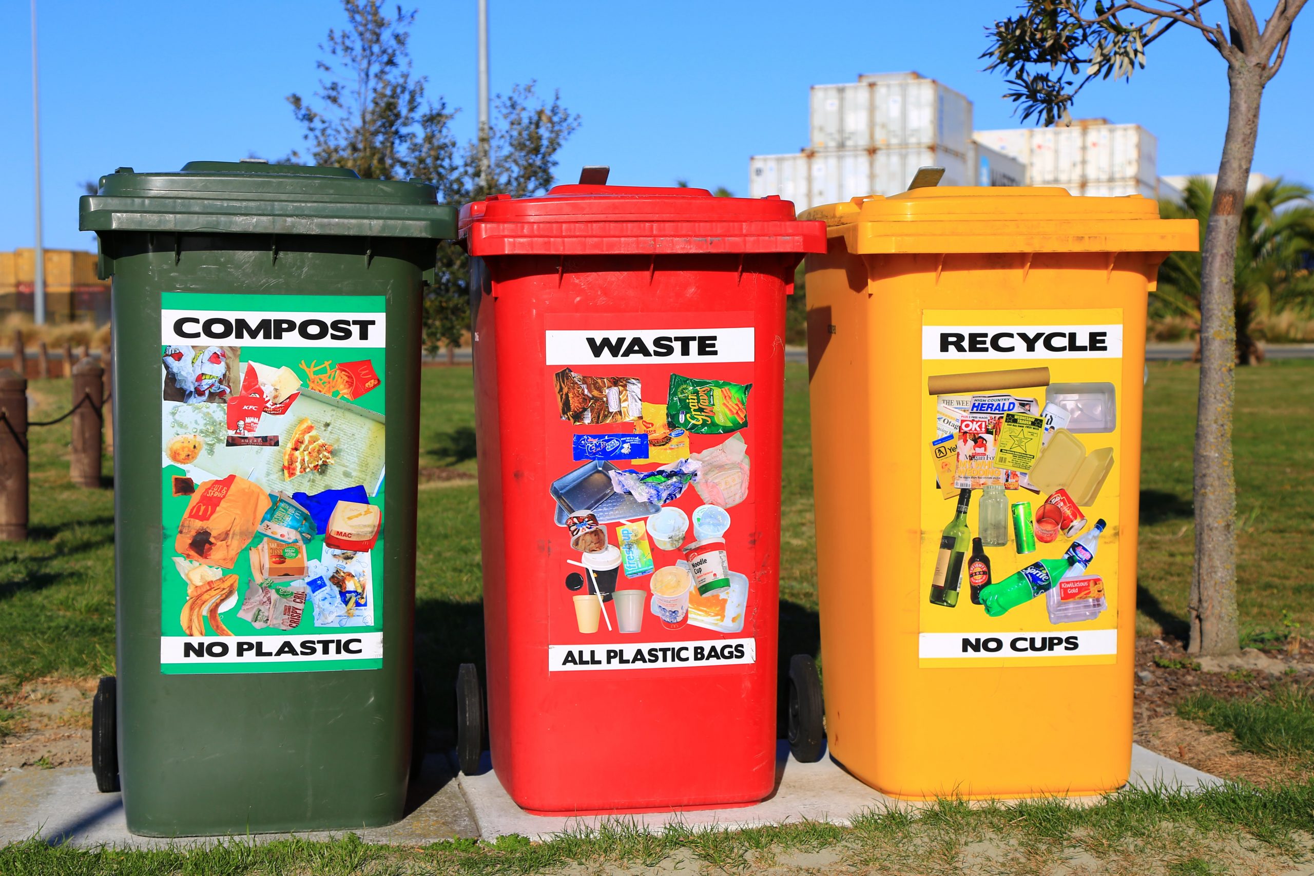 Wheelie bins for recycling and rubbish