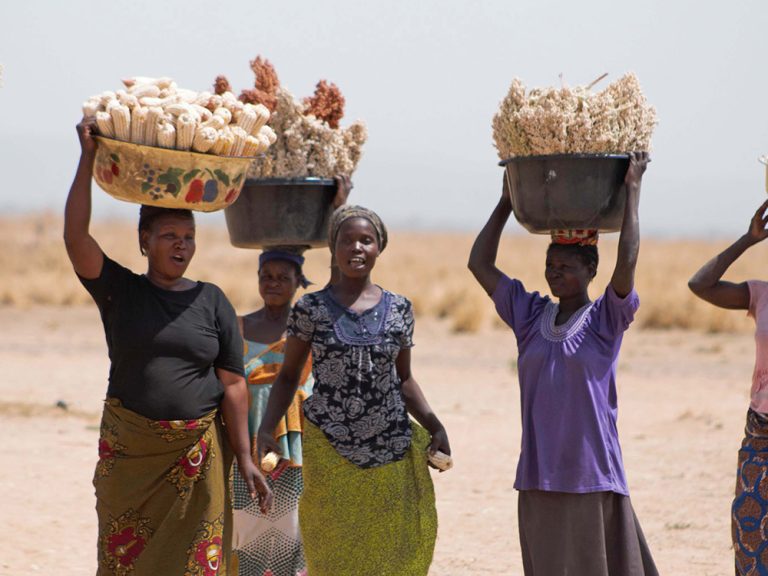 Women carrying baskets on their head in Nigeria