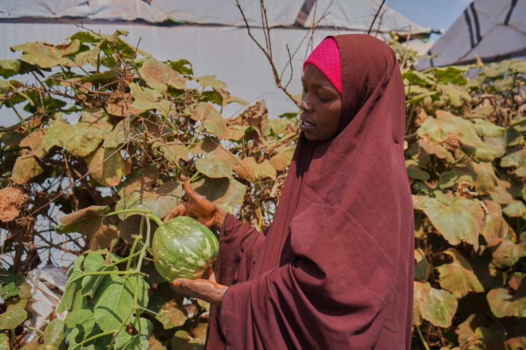 Woman holding a pumpkin she has grown in Somalia