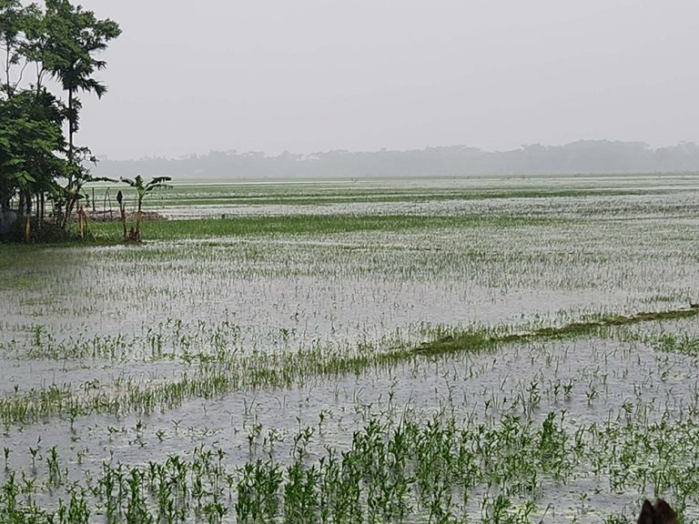 Flooded land in Bangladesh