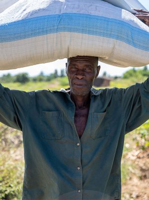 man carrying a heavy load on his head in malawi